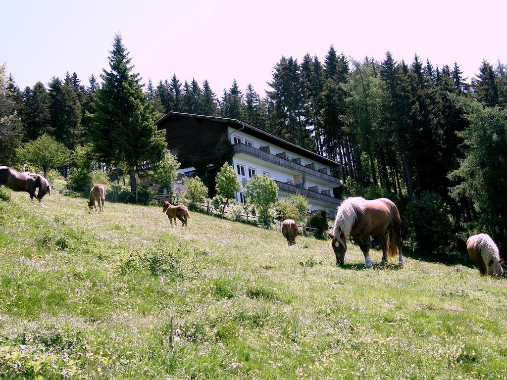 Hotel Garni Gaestehaus Karin سانكت ستيفان المظهر الخارجي الصورة